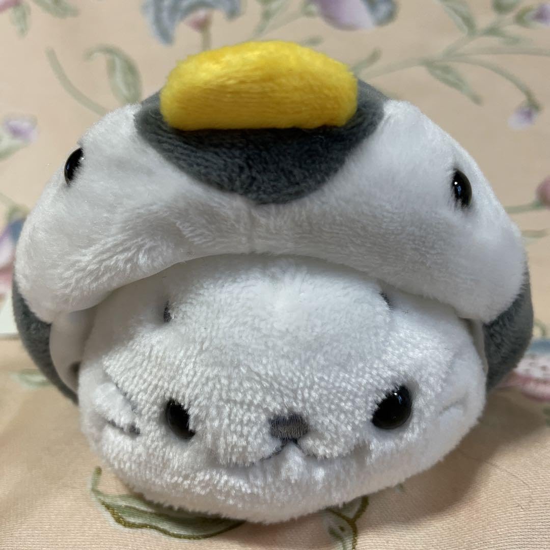 しらほしずかん（ぺんぎん）　ぬいぐるみ20個 しらほしずかん「ぺんぎん」ぬいぐるみ化プロジェクト